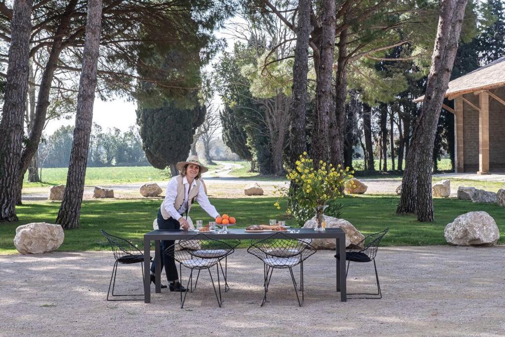 Mas Mandine, En Provence * Arles
