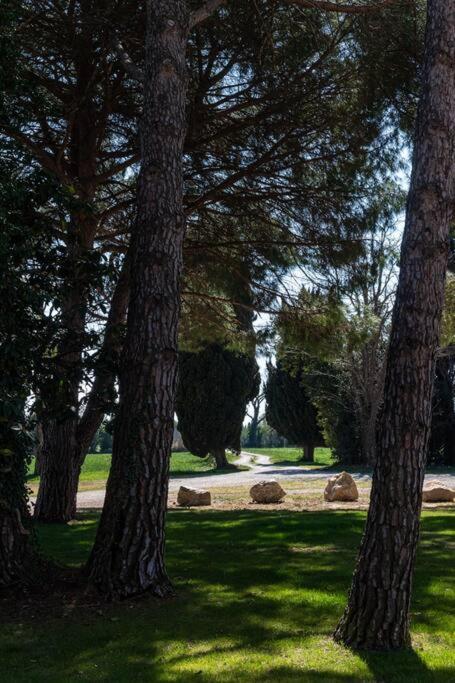 Mas Mandine, En Provence * Arles